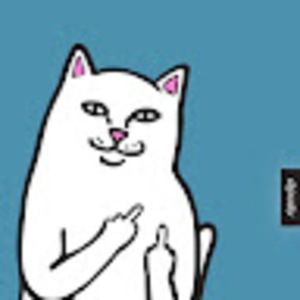 Meet your Posher, Just